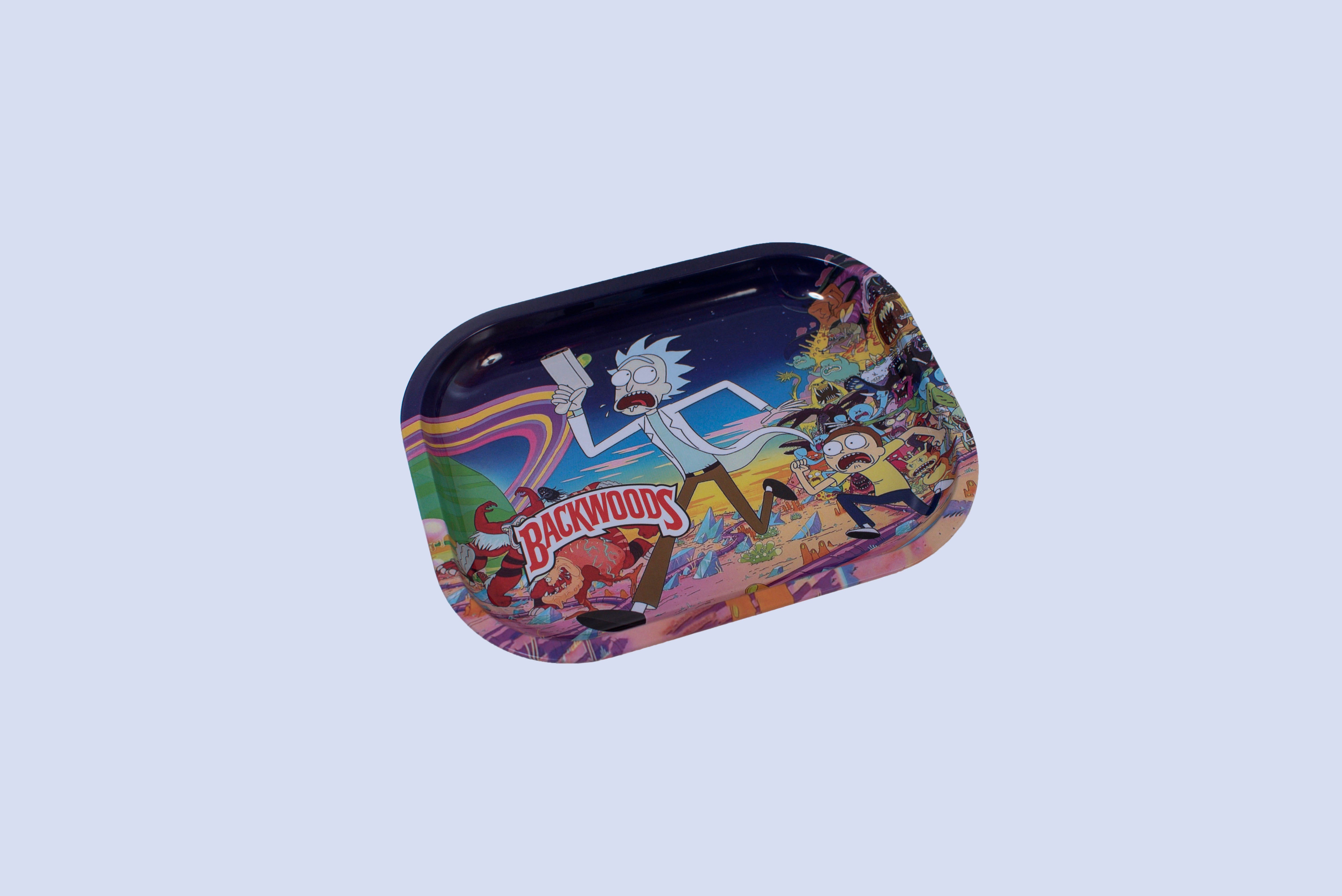 Rick And Morty Tray